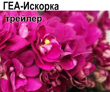 ГЕА-Искорка (Е.Галицкая)