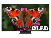 QE55S99H
