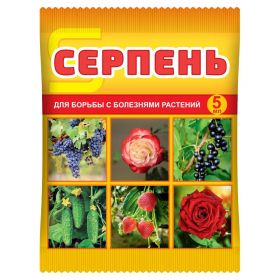 Серпень, КС