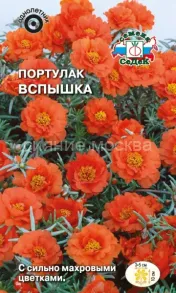 Портулак Вспышка (крупноцветковый), 0,06 г (СеДеК)