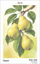 ЗПН-045 Золотая Подкова. Груши