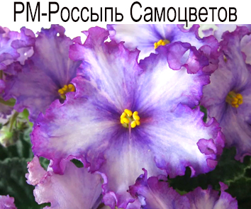 РМ-Россыпь Самоцветов (Скорнякова)