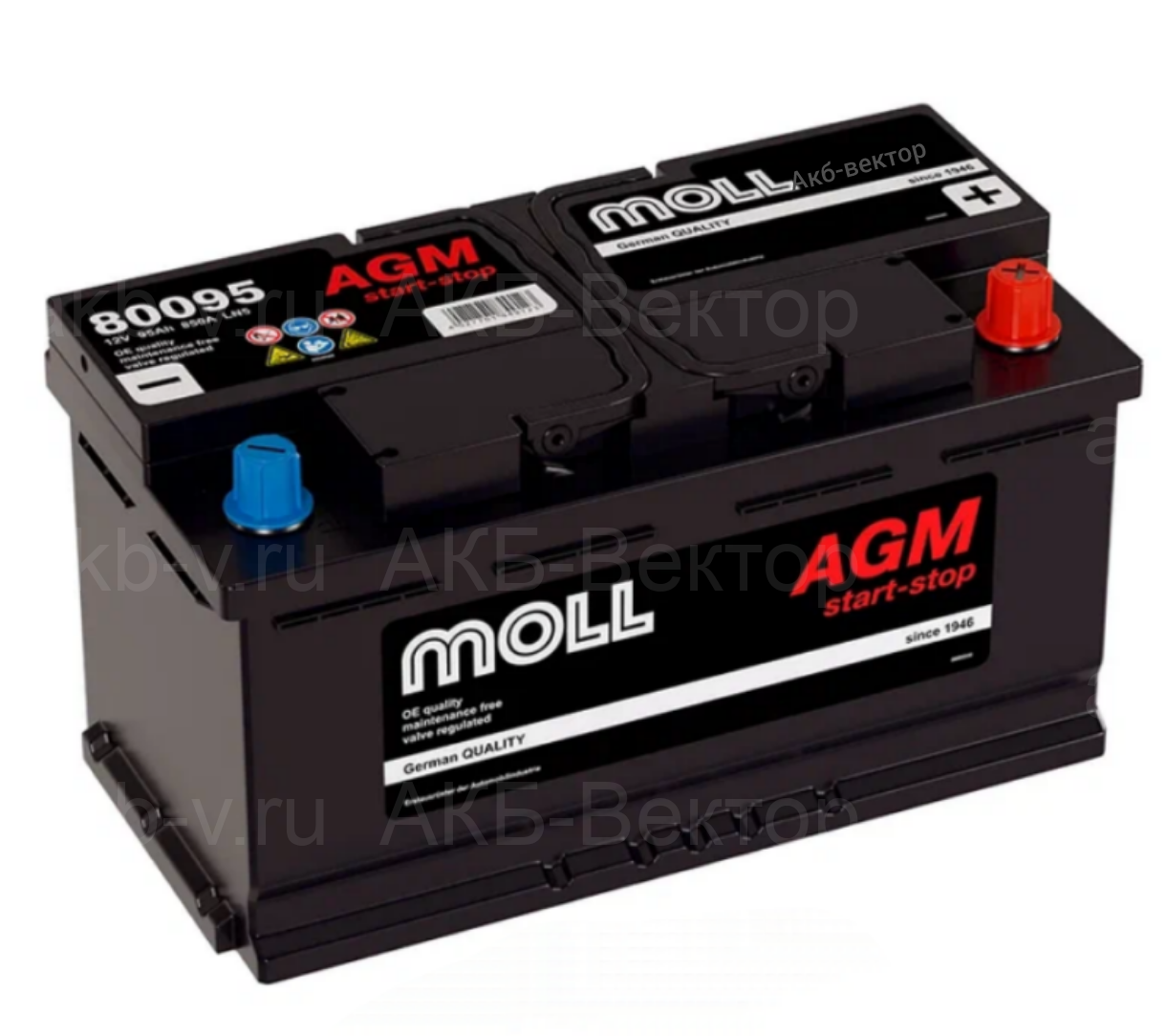 Аккумулятор MOLL 80095 AGM 95Ач 850А L5