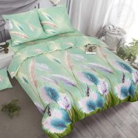 «Астильба» (ЛЮКС) постельное белье Поплин 2-х спальный с евро