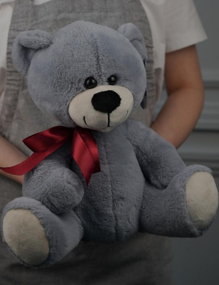 Мягкая игрушка Медведь "Мишаня"