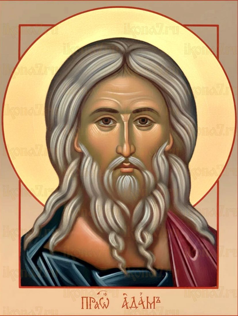 Адам Праотец Икона печатная (холст на дереве) (20135)