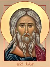 Адам Праотец Икона печатная (холст на дереве) (20135)