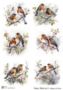 Birds set 3