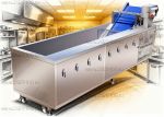 Мойка с озонированием Roal Veget X200M