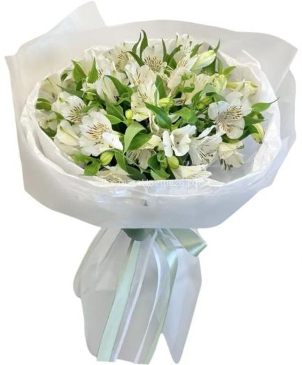 Белые альстромерии