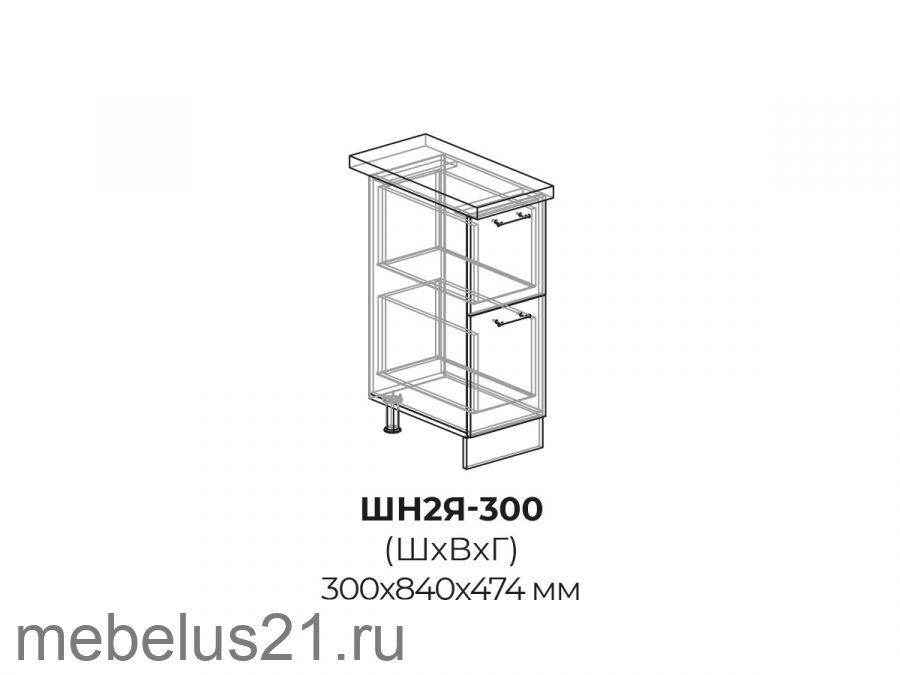 Модуль с 2 ящиками ШН2Я300