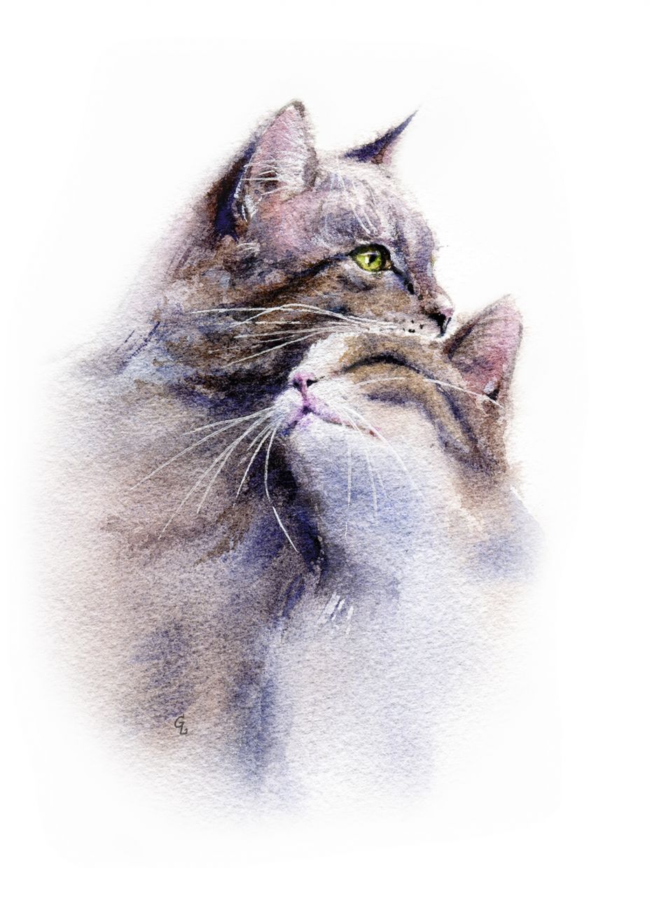 Кошачьи истории 13