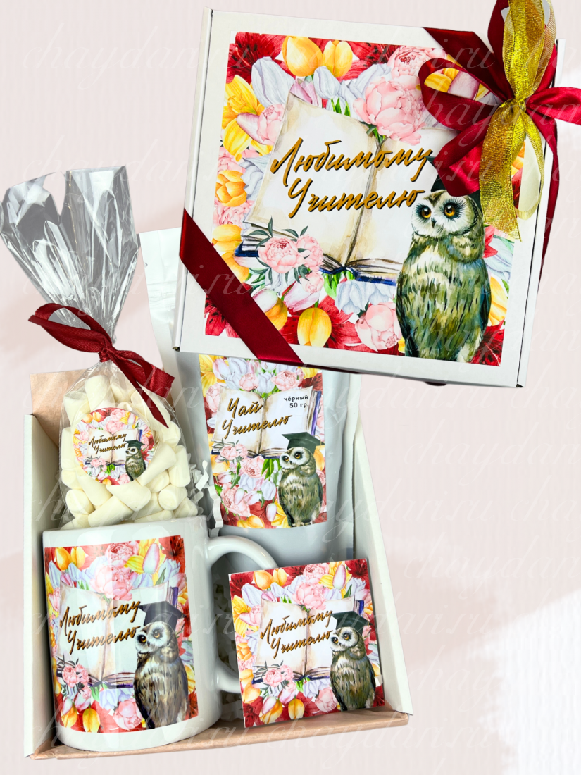 Коробка с кружкой "Учителю сова" маленький бокс
