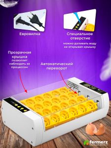Инкубатор Эйч-эйч-ди (HHD) на 24 яйца автоматический переворот, цифровой дисплей