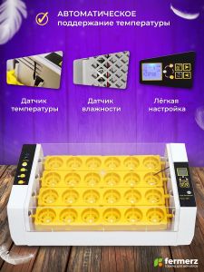 Инкубатор Эйч-эйч-ди (HHD) на 24 яйца автоматический переворот, цифровой дисплей