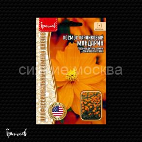 Космос Мандарин карликовый серно-жёлтый (Космея) (PanAmerican Seed) 5 шт., Ред.Сем.