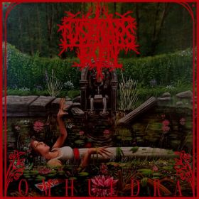 TUSENARSEKEN - Omhuldra