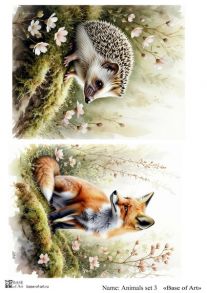 Animals set 3