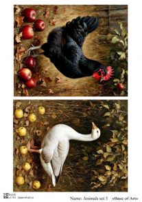 Animals set 5