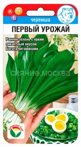 Черемша Первый урожай, 0,3 г (Сибирский Сад)