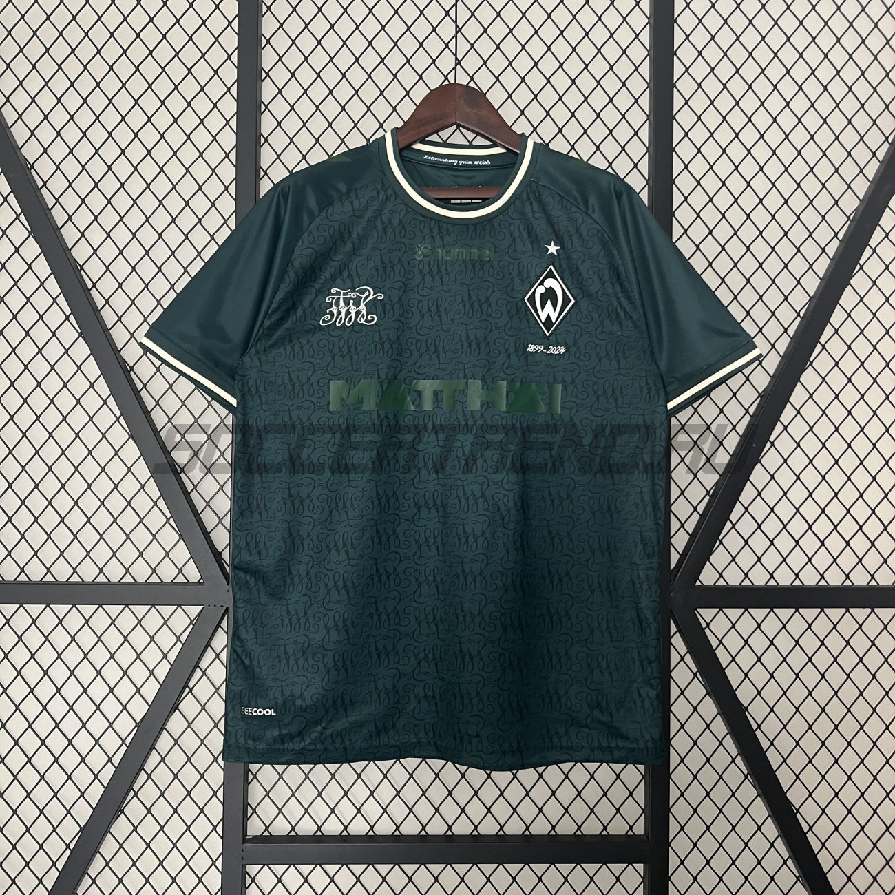 Футболка Werder Bremen (special edition) 2024