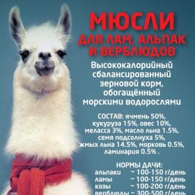 Мюсли для лам, альпак и верблюдов! 20кг. Богатырские корма