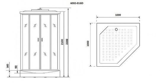 Душевая кабина Niagara Premium 100x100 NG-6002-01GD с гидромассажем ФОТО