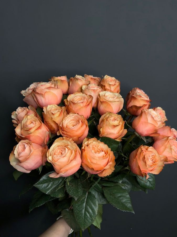 роза пионовидная 15шт