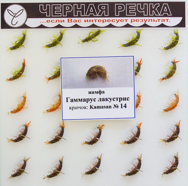 Муха ЧР Нимфа Гаммарус лакустрис