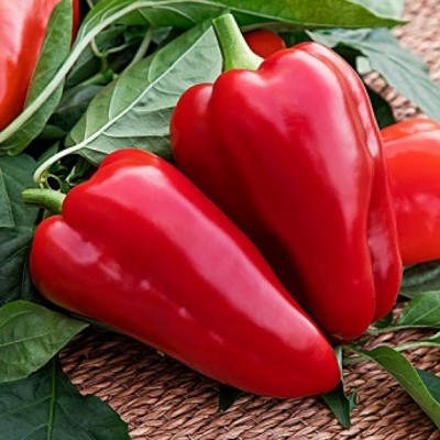 Перец сладкий Виктория F1, 50шт семян