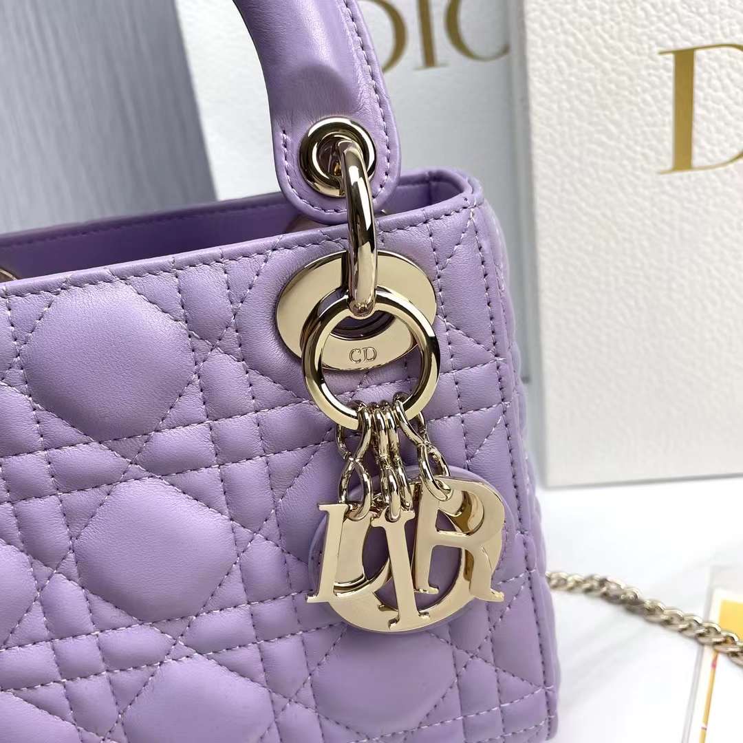 Lady Dior micro 17cm