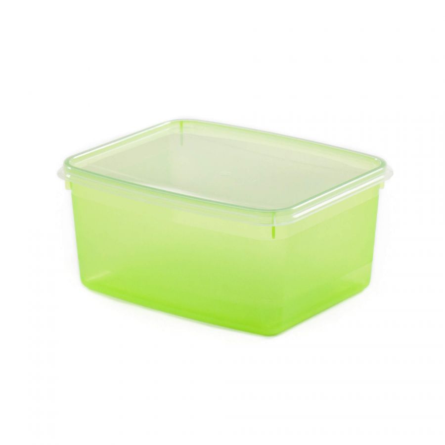 Ёмкость №48 прямоугольная с крышкой, 2 литра