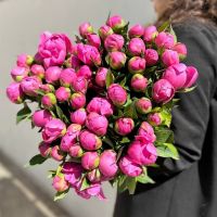 Пионы сиренево-розовые в ленте