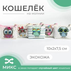 Кошелёк на молнии, цвет МИКС