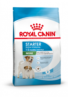 Royal Canin Mini Starter Корм сухой полнорационный для собак мелких пород (до 10 кг) в конце беременности и в период лактации, а также для щенков в период отъема от матери и до 2-х месячного возраста