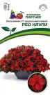 Balzamin-Uollera-F1-krupnocvetkovyj-ReD-KAULI-5sht-Partner