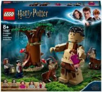 Конструктор LEGO Harry Potter 75967 Запретный лес: Грохх и Долорес Амбридж, 253 дет.