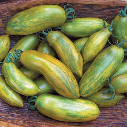 Томат Зелёная сосиска, 50шт семян