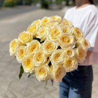 Премиальная пионовидная роза кремового цвета (от 11 шт)