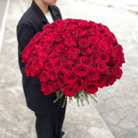 101 красная  роза Эквадор