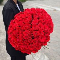 101 роза алаая Эквадор