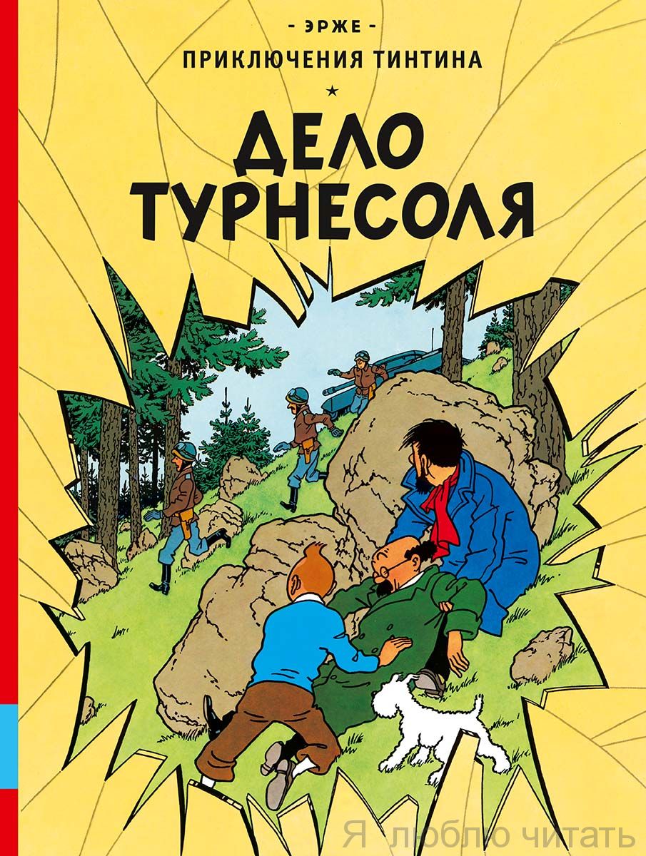 Дело Турнесоля