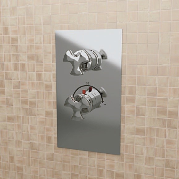 Смеситель Flaminia Evergreen Concealed Thermostatic Shower Mixer 1-Outlet схема 1