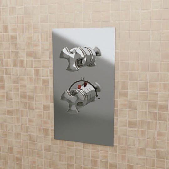 Фото Смеситель Flaminia Evergreen Concealed Thermostatic Shower Mixer 1-Outlet