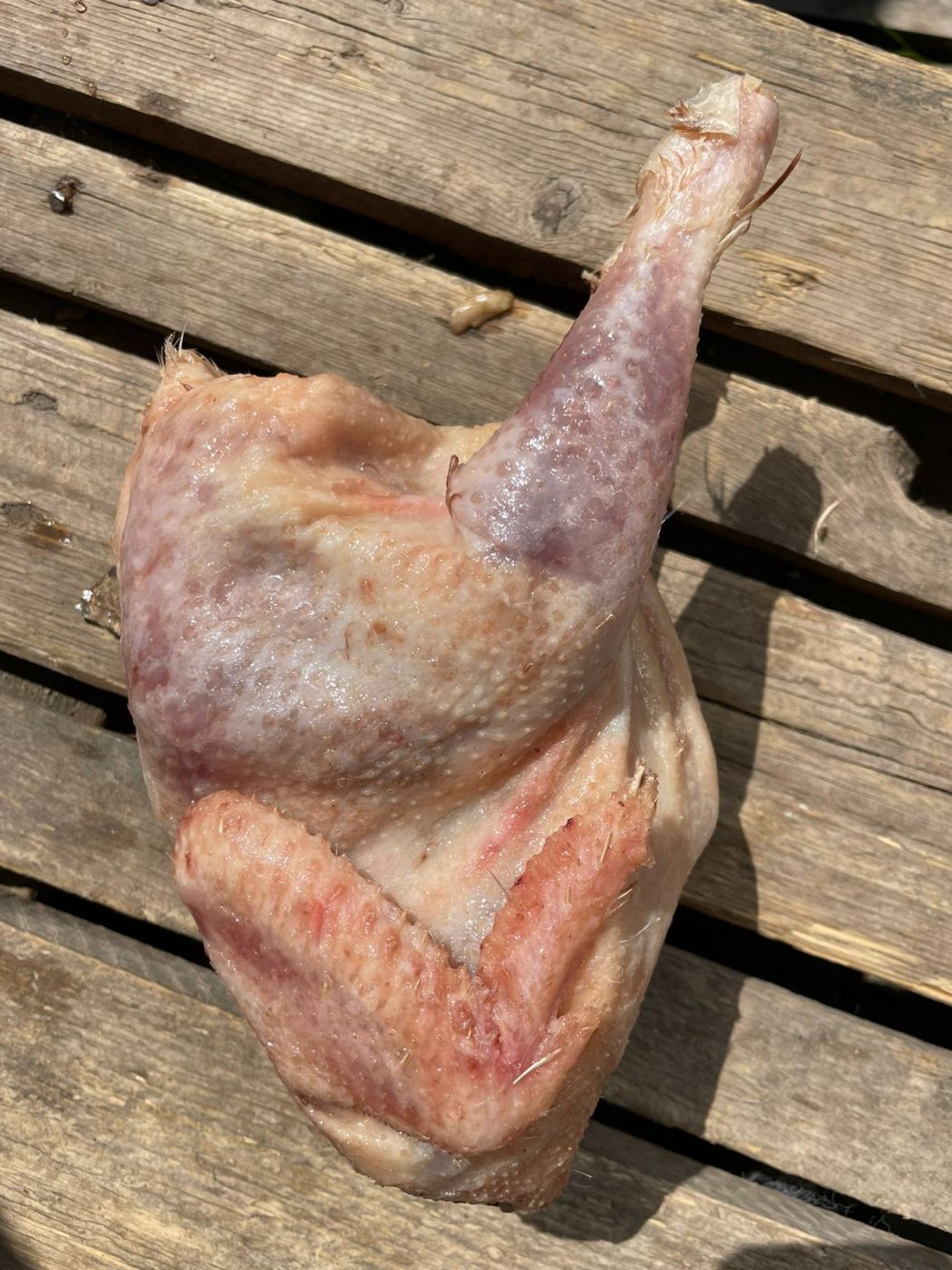 Куры суповые Куры суповые