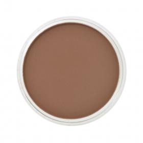 PanPastel 2740.3, цвет — Burnt Sienna Shade