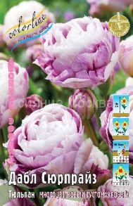 Тюльпан	Дабл Сюрпрайз (Tulipa Double Surprise), ГУСТОМАХРОВЫЙ МНОГОЦВЕТКОВЫЙ, 11/12, 1 шт