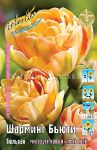 Tyulpan-Sharming-Byuti-Tulipa-Charming-Beauty-MNGOCVeTKOVYJ-MAHROVYJ-11-12-1-sht