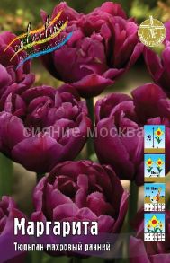 Тюльпан	Маргарита (Tulipa Margarita), МАХРОВЫЙ РАННИЙ, 11/12, 1 шт