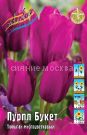 Tyulpan-Purpl-Buket-Tulipa-Purple-Bouquet-MNOGOCVeTKOVYJ-11-12-1-sht